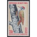 Pájaro carpintero Correo Aéreo